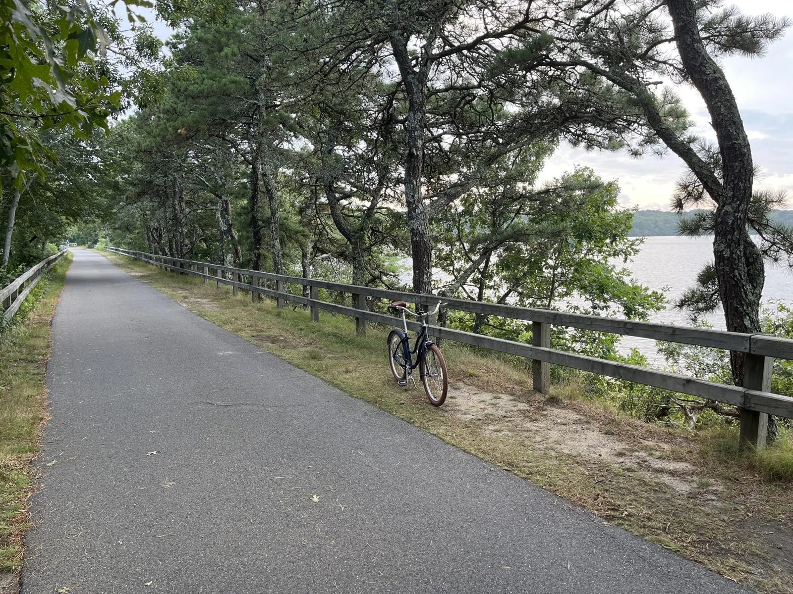 The Cape Cod Rail Trail running through pines beside a pond, with a bicycle leaning on the wooden fence